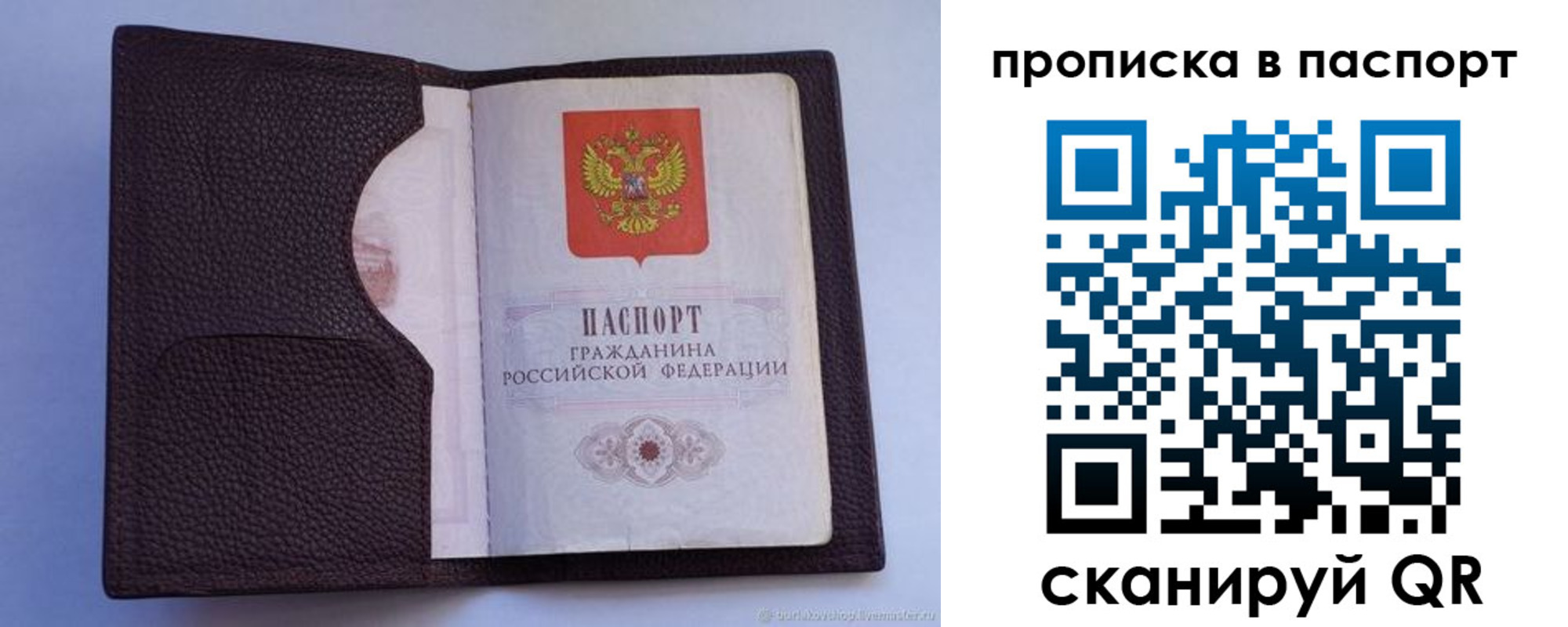 прописка законно в Заринске